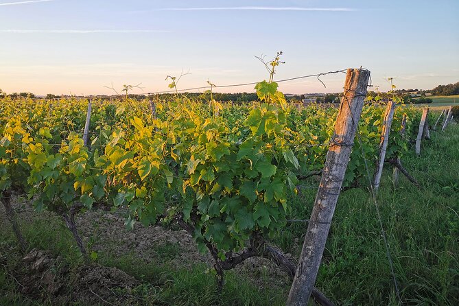 Simple Visit to Discover the Domaine d'Arton - Practical Details and Booking Information