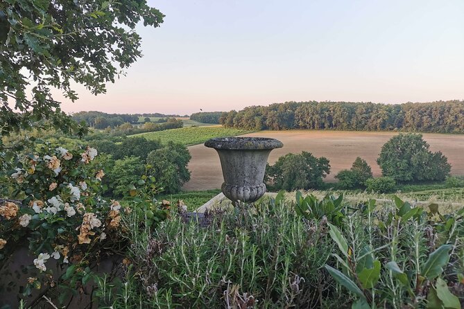 Simple Visit to Discover the Domaine d'Arton - What’s Not Included in the Standard Tour