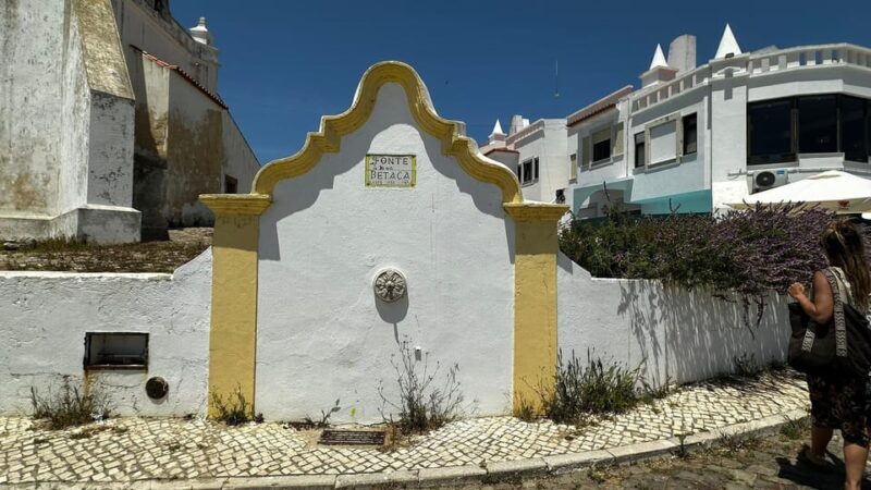 Sines and Porto Covo: discover Costa Vicentina with a local - Exploring Sines and Porto Covo with a Local Guide