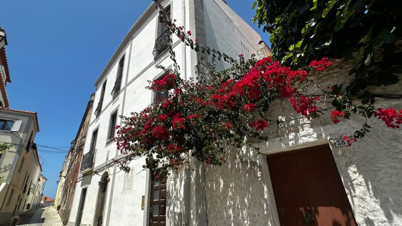 Sines and Porto Covo: discover Costa Vicentina with a local - Discovering Porto Covo’s Historic Center