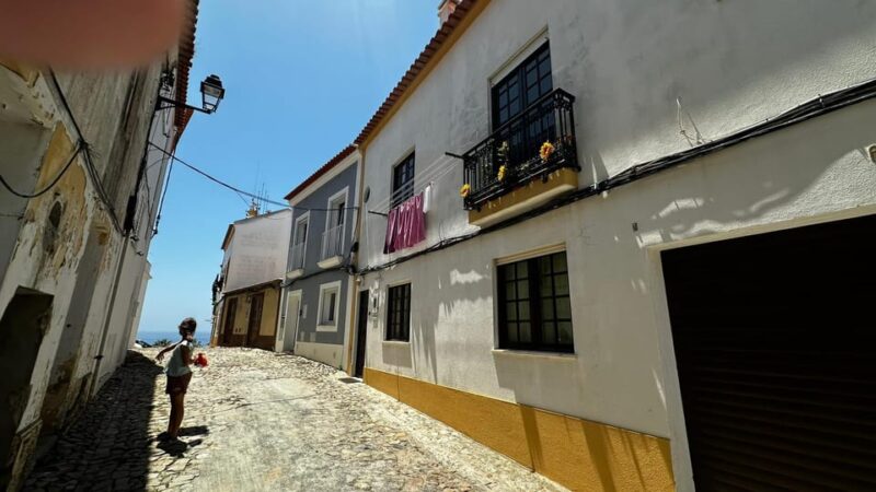 Sines and Porto Covo: discover Costa Vicentina with a local - Who Will Appreciate This Tour Most?