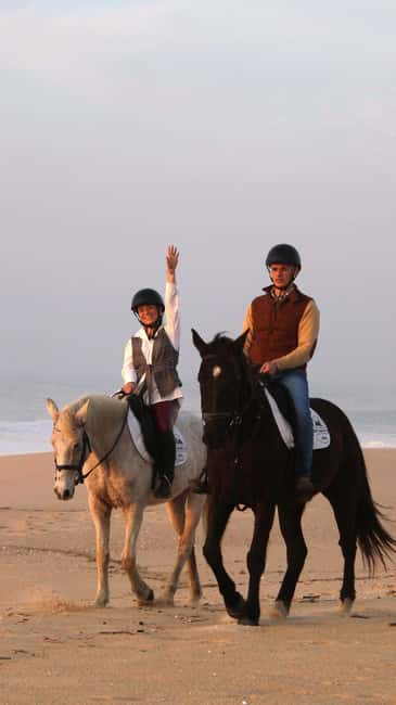 Sines: Horseback Riding on a Beach with Portuguese Horses - Key Points