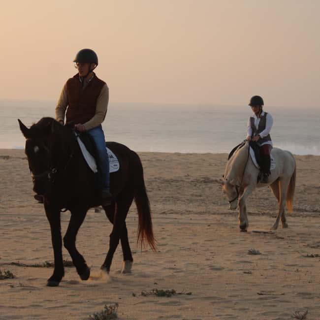 Sines: Horseback Riding on a Beach with Portuguese Horses - Sines: A Short Drive to a Beach Horseback Adventure