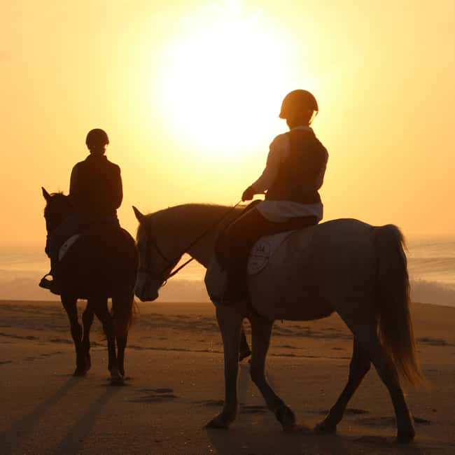 Sines: Horseback Riding on a Beach with Portuguese Horses - Riding on a Desolate Beach: Scenic and Serene