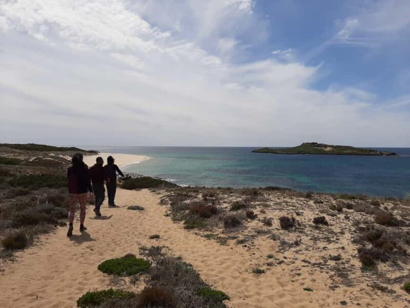 Sines: Private Guided Hike in the Costa Alentejana - Explore the Stunning Costa Vicentina Natural Park with a Private Guide