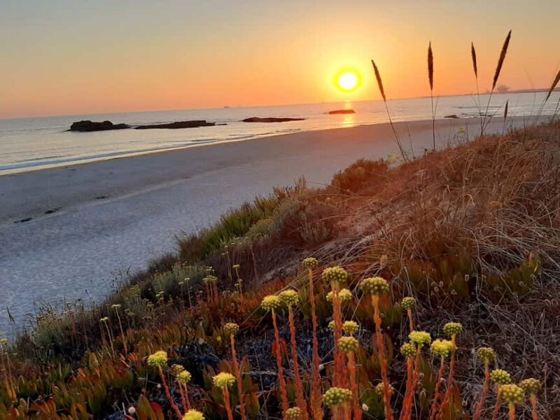 Sines: Private Guided Hike in the Costa Alentejana - Key Points