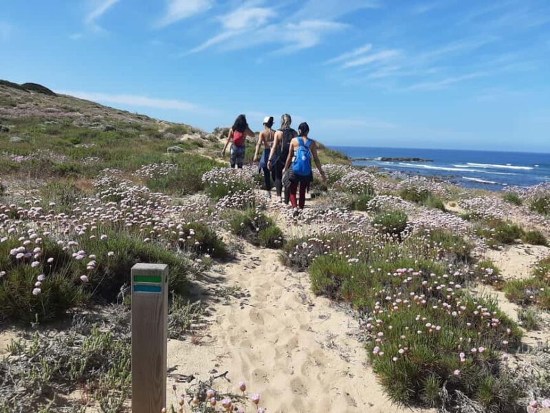 Sines: Private Guided Hike in the Costa Alentejana - Following Trails Used by Local Fishermen