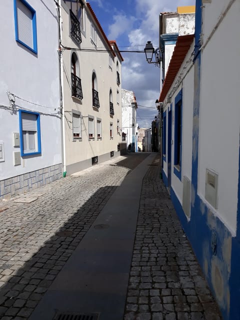 Sines: Tour of the historic center, museum & castle of Sines - Discover Sines Historic Center with a Passionate Local Guide