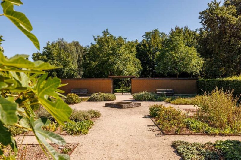 Singing: Guided herb tour "Wild herbs on the banks of the Aa" - Learning About the Healing Powers of Wild Herbs