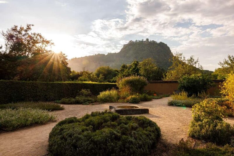 Singing: Guided herb tour "Wild herbs on the banks of the Aa" - Final Thoughts on the Guided Herb Tour on the Aach River