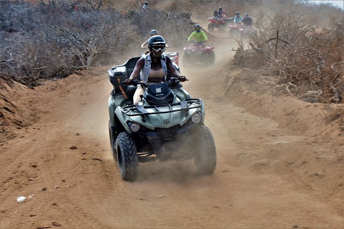 Single ATV Tour from Migriño Beach & Desert - Whale-Watching During Season from November to April