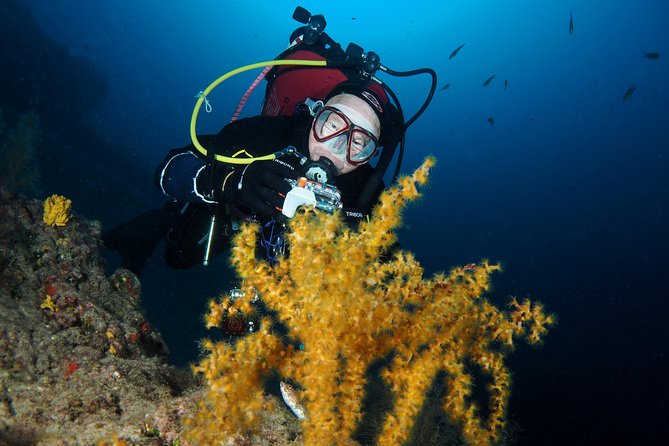 Single Dive for qualified divers from shore, region Puerto del Carmen. - The Small Group Advantage