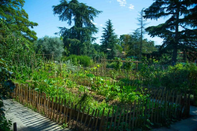 Single Entry Ticket to Jardin d'Acclimatation (without ride) - Discover the Charm of Jardin dAcclimatation with a Day Pass