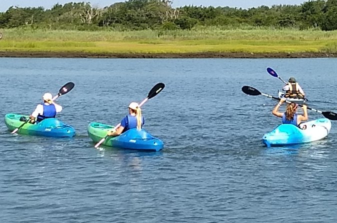 Single Kayak Rental - Friendly Staff and Sanitary Equipment