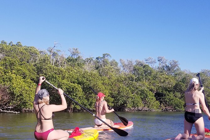 Single Kayak Rental on Big Hickory Pass - The Equipment and Safety Measures