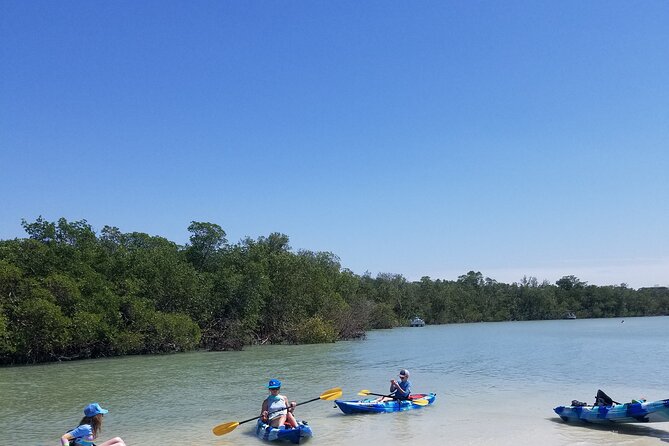 Single Kayak Rental on Big Hickory Pass - Why This Tour Is a Great Choice for Solo Explorers