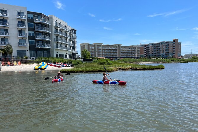 Single Kayak Rentals in Ocean City, MD - Wildlife Watching and Scenic Views