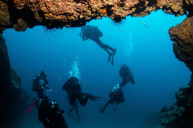 Single Scuba Try-Dive in Puerto del Carmen - small groups - 2 hours - The Experience Provider: Atlantis Diving Lanzarote