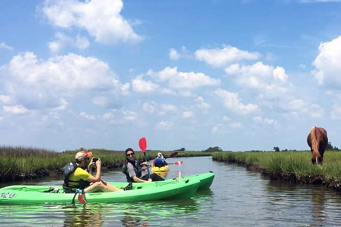 Single Sit on Top Kayak Rental at Assateague Island, MD - Experience the Tranquility of Assateague Island’s Waters with a Single Sit-On-Top Kayak Rental