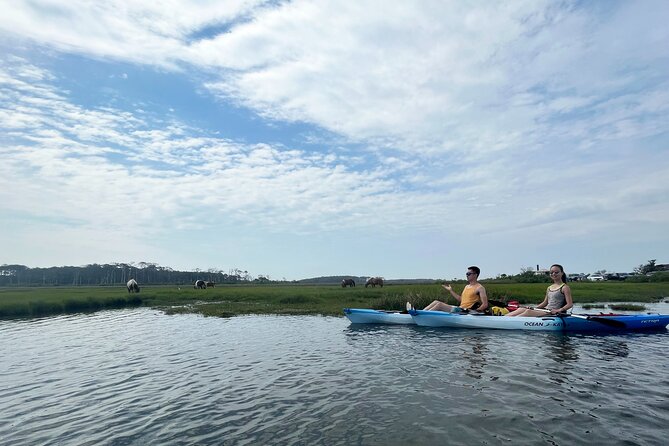 Single Sit on Top Kayak Rental at Assateague Island, MD - Key Points