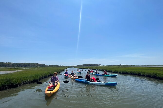 Single Sit on Top Kayak Rental at Assateague Island, MD - Practical Details: Meeting Point, Booking, and Costs