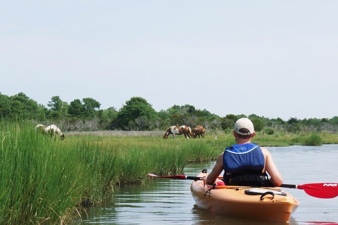 Single Sit on Top Kayak Rental at Assateague Island, MD - Environmental and Safety Considerations