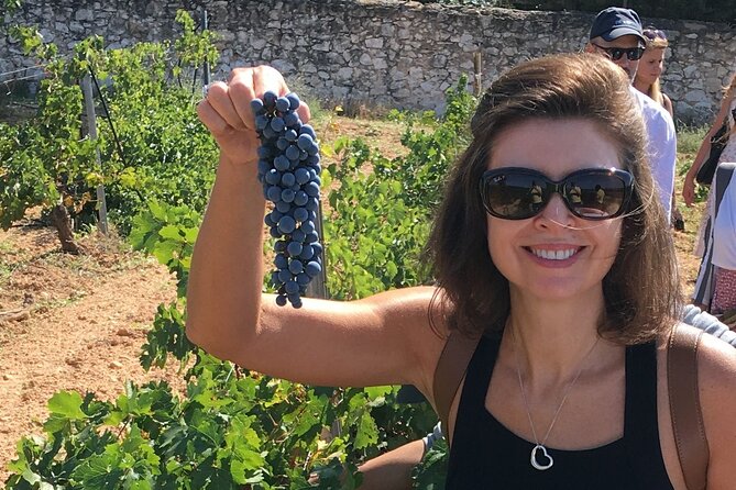 Singular Valencia Wine Tour Utiel Requena Wineries - The Experience of Tasting Wines at Two Distinct Wineries