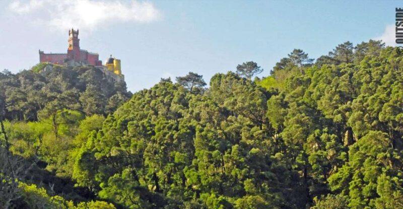 Sintra: 3.5-Hour Rock Climbing Experience - Discover the Unique Experience of Rock Climbing in Sintra