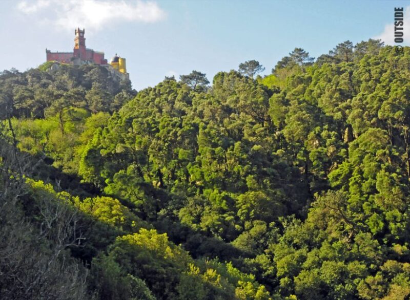 Sintra: 3.5-Hour Rock Climbing Experience - Flexibility and Booking Options