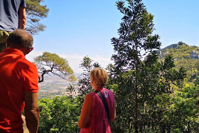 Sintra ALL PALACES - small groups (2-6pax) PRIVATE TOUR - Quinta da Regaleira: Exterior Appraisal and Inside Recommendation