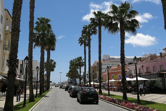 Sintra and Cascais and Estoril Private Tour - The Luxury of Private Transport and Personalization