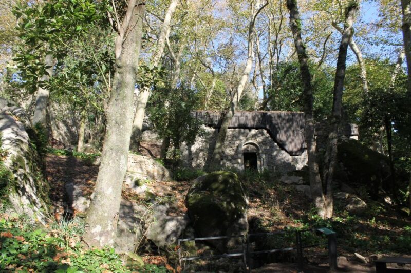 Sintra and Cascais: Full-Day Private Sightseeing Tour - The Experience for Families and Special Needs