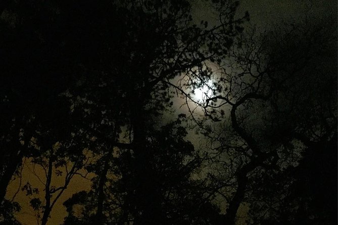 Sintra, Apparitions and Stories From the Mountains - Private Night Walk - Starting in Sintra’s Historic Centre for Mystical Stories and Legends