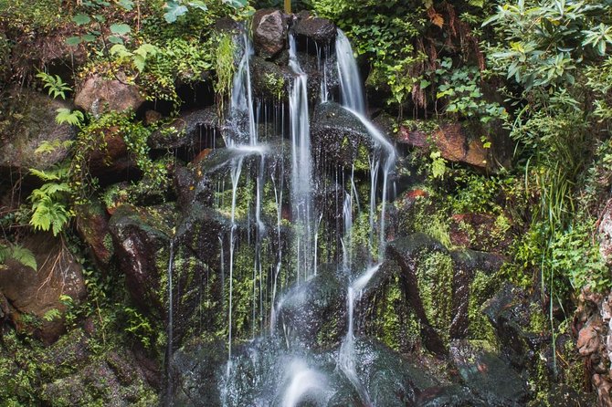 Sintra, Cabo da Roca and Cascais Full Day Private Tour from the West - Experience the Charm of Cascais and Coastal Villages