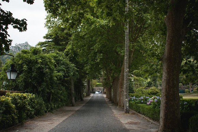 Sintra, Cabo da Roca and Cascais Full Day Private Tour from the West - Guides and Customer Service Experience