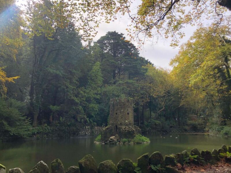 Sintra, Cabo da Roca & Cascais Highlights Tour - Visiting the Moorish Castle and Pena Palace Vantage Points