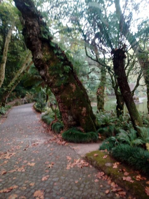 Sintra-Cabo Roca-Cascais: Portuguese Riviera Private Tour - Flexible Lunch Options and Personalization