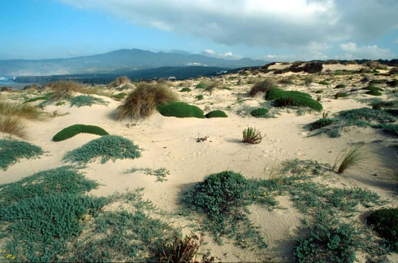 Sintra Cascais Top trekking - Scenic Views and Photo Opportunities on the Mountain