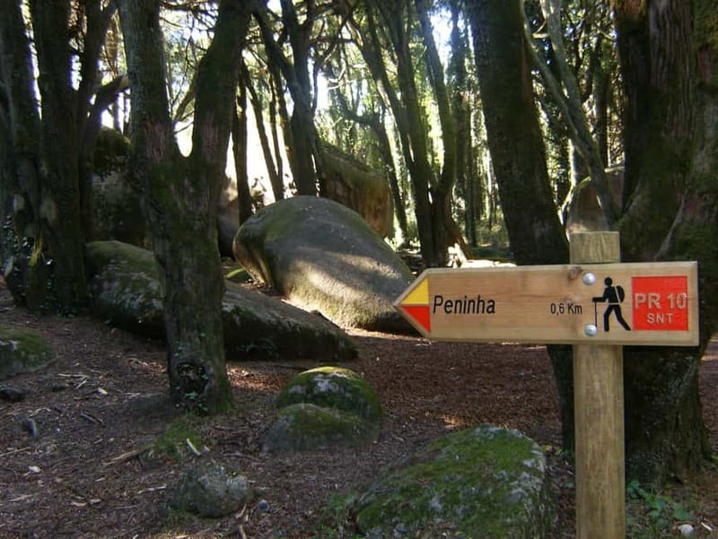 Sintra Cascais Top trekking - Discovering Local Life and Food Options