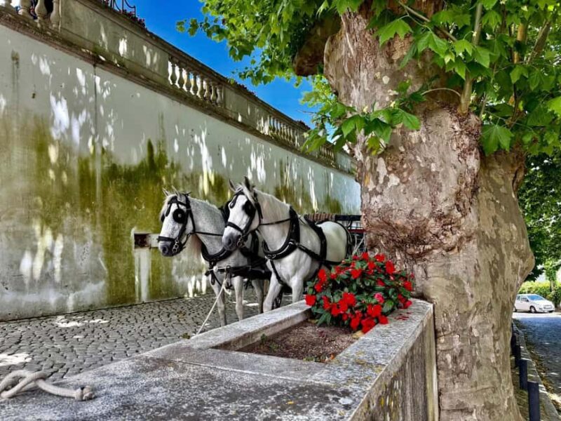 Sintra Express: Pena Park (Tickets included) + Cabo da Roca + Cascais - Suitability and Physical Considerations