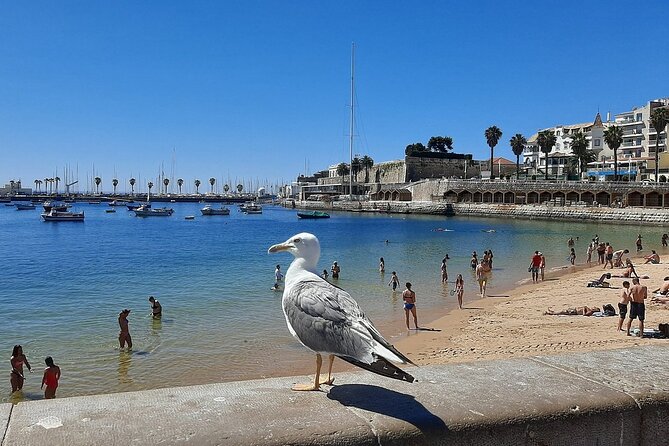 Sintra Full Day Private Tour with All Tickets Included - The Coastal Charm of Cascais
