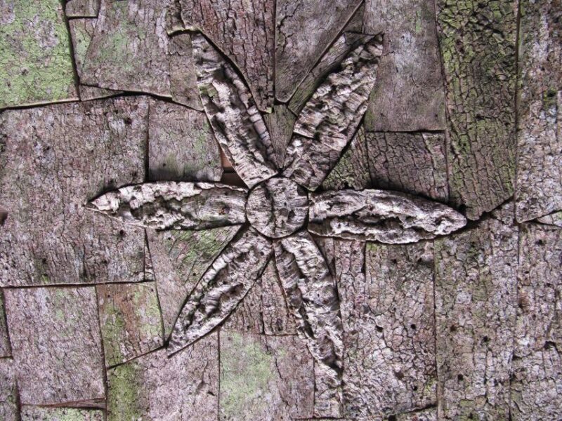 Sintra Guided Visit: Life and Death at the Capuchos Convent - What’s Not Included and Accessibility Notes