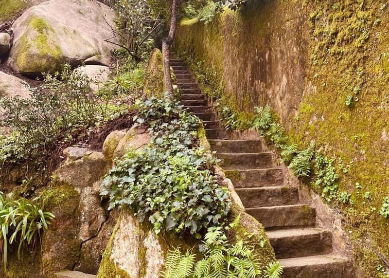 Sintra Half-Day Trip: Pena Palace & Quinta da Regaleira - Discovering the Mysteries of Quinta da Regaleira