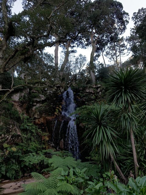 Sintra Highlights: Private Local Tour - Palaces & Views - Comparing this Tour to Similar Experiences
