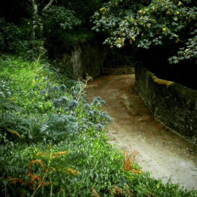Sintra: Legends and Medieval Stories Private Walking Tour - Who Will Enjoy This Tour Most