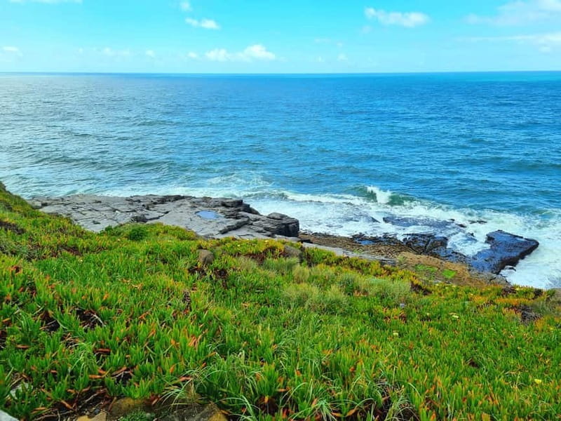 Sintra: Magoito Sunset and BBQ Tour - Key Points