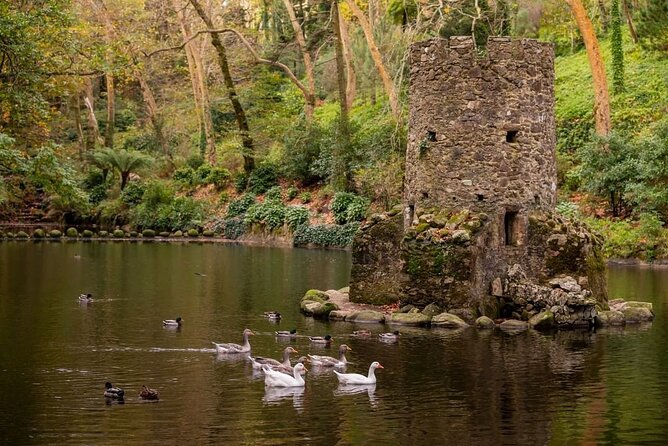 Sintra Mountain Guided Tour: Pena Palace & Moorish Castle Tickets - Sintra Mountain Guided Tour Highlights and Price