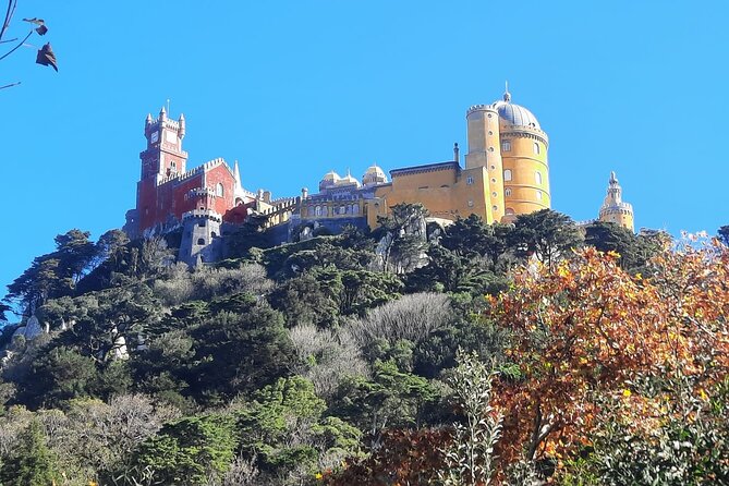 Sintra Palaces and Forest Private Tour - The Forest Walk and Scenic Scenery