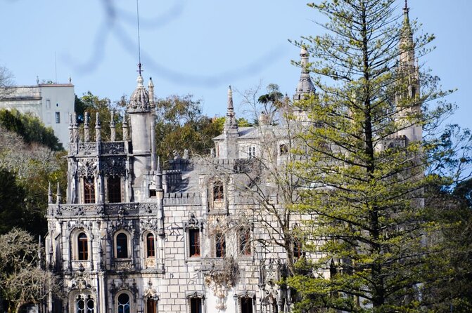 Sintra Palaces and Forest Private Tour - Practicalities of the Private Tour Experience