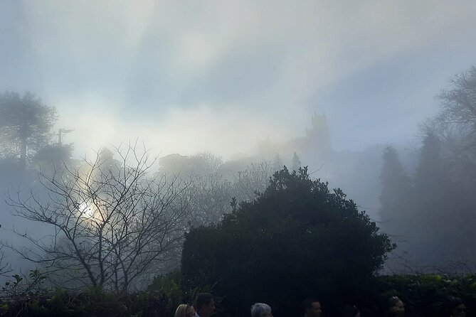 Sintra Palaces and Forest Private Tour - The Experience’s Strengths and Suitability